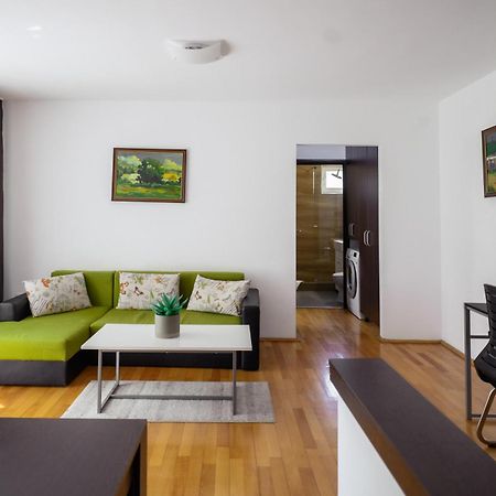 Apartament Family Rivulus 9 Nagybánya Kültér fotó