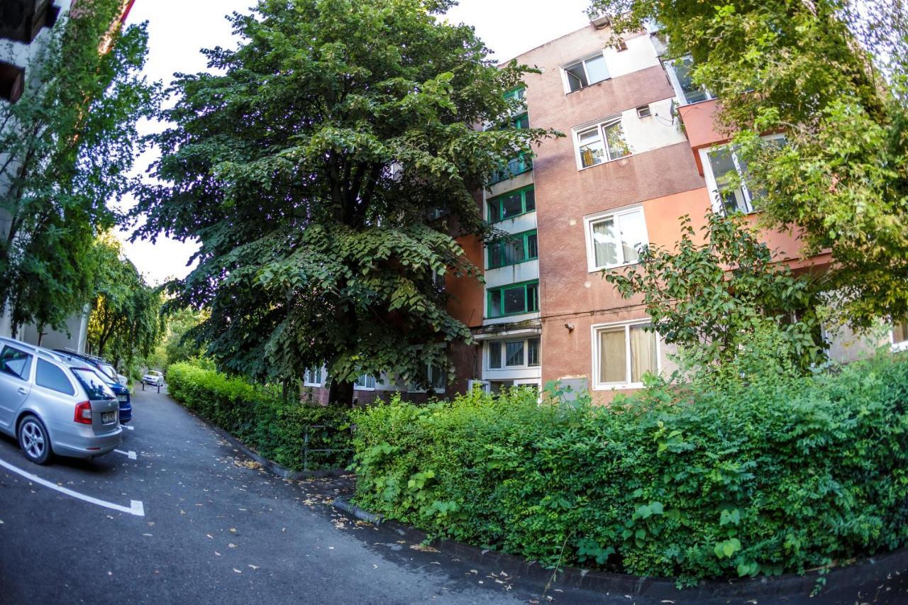 Apartament Family Rivulus 9 Nagybánya Kültér fotó