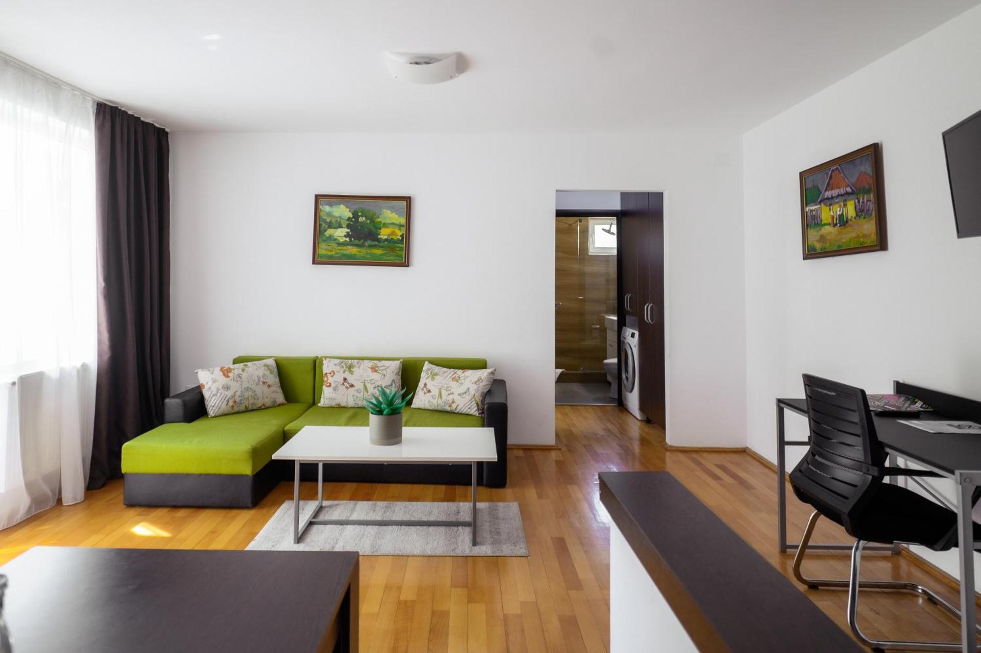 Apartament Family Rivulus 9 Nagybánya Kültér fotó
