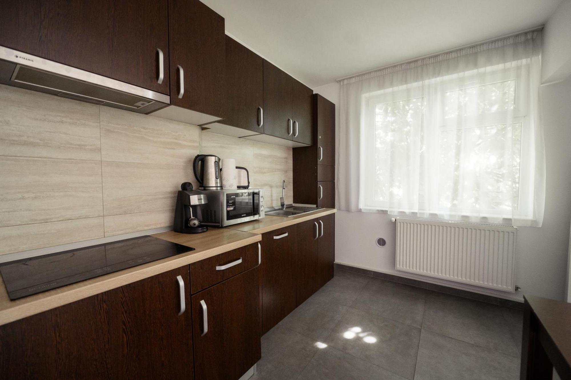 Apartament Family Rivulus 9 Nagybánya Kültér fotó